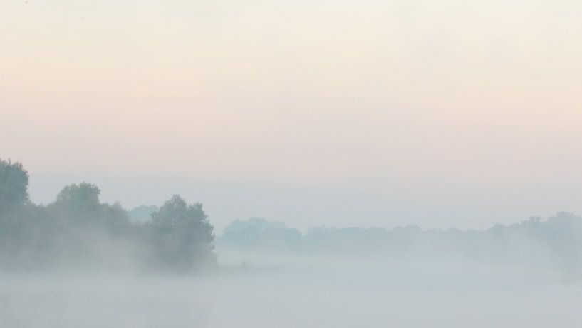 Ochtendgloren in  de mist by Art Wittingen