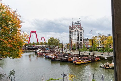 View of the Willemsbrug Rotterdam from the Cube Houses.