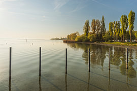 Les rives du lac de Constance à l'aube - Péninsule de Höri sur Conny Pokorny