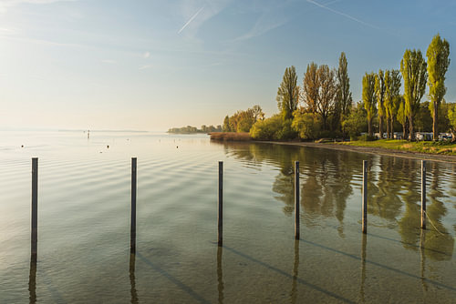 The shores of Lake Constance in the morning light – the Höri Peninsula