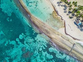 Structures in paradise by Ellen van den Doel