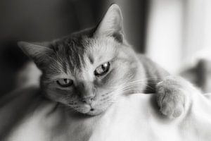femme fatale