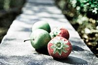 Fruit I