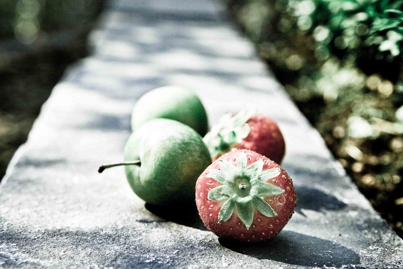 Fruit I by Bram van Kattenbroek