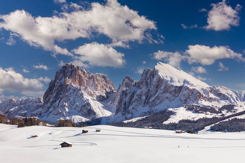 Alpe di Siusi in the Dolomites by Dieter Meyrl