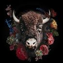 Bison wrapped in beautiful vintage flowers by John van den Heuvel thumbnail