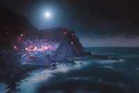 Manarola, Cinque Terre National Park ( Italie )