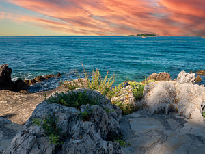 Felsen mit Riff an der Adria in Kroatien