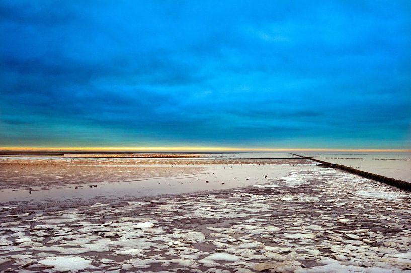 Brandgänse auf dem Wattenmeer bei Holwerd in Friesland von Marcel van Kammen