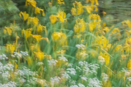 Winkend im Wind