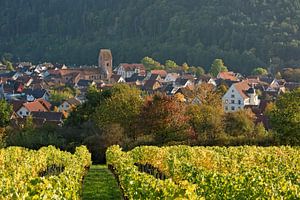 Dorfprozelten am Main