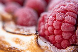 Framboos von FRUID ...