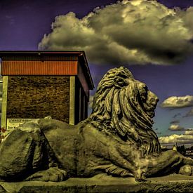 Lion Watch by Bob Pieck