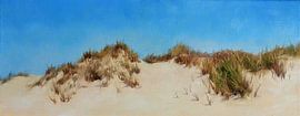 Dunes de Zélande sur Stephanie van der Klooster