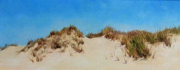 Zeeuwse duinen van Stephanie van der Klooster
