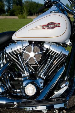  Harley Davidson Heritage softtail, motorblok van Patrick Brouwer