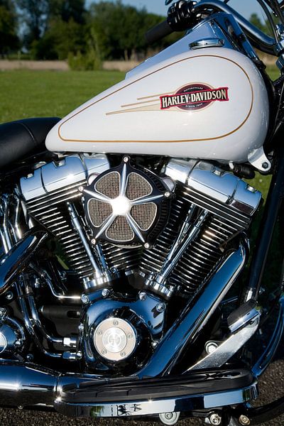  Harley Davidson Heritage softtail, motorblok par Patrick Brouwer