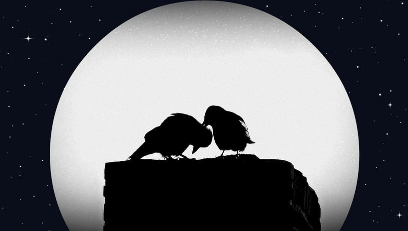 L'amour Et La Dévotion par Daphne Photography