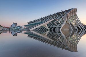 Moderne Architektur der Stadt der Künste und Wissenschaften in Valencia von gaps photography