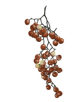 Rote Pfefferkörner Kollektion III