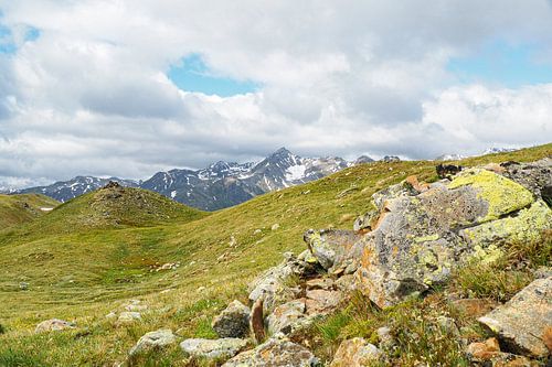 De Vinschgauer bergen in Zuid-Tirol laten zich in het voorjaar zien met alpenbloemen, wollegras en een fris berglandschap. Een indrukwekkende combinatie van natuurlijke diversiteit en alpenweiden.