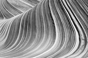 Die Welle in Schwarz und Weiß