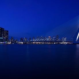 Rotterdam Erasmusbrug nacht van Ying Chen