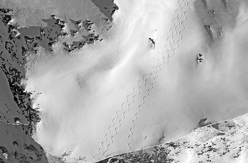 Traces dans la neige