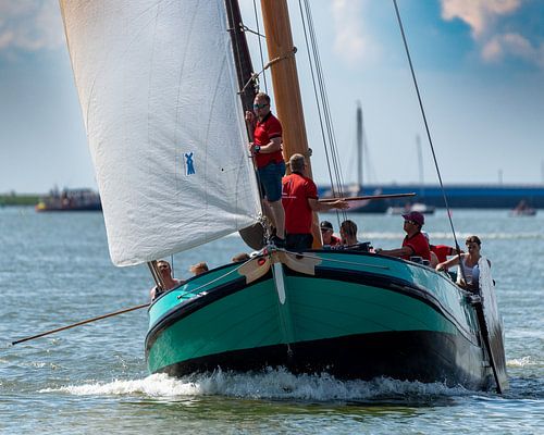 Le lemmer Skûtsje se concentre sur la course