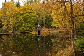 Loch Dunmore, Faskally, Perth and Kinross, Scotland, UK. by Arch White