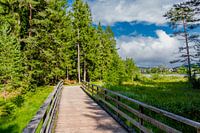 Wandeling rond de Wildsee