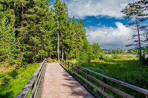 Wandeling rond de Wildsee van Oliver Hlavaty