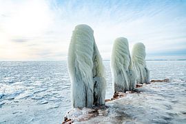Winter on the IJsselmeer 2021