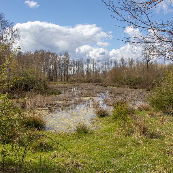 A river meanders through the landscape by Mark van Harlingen