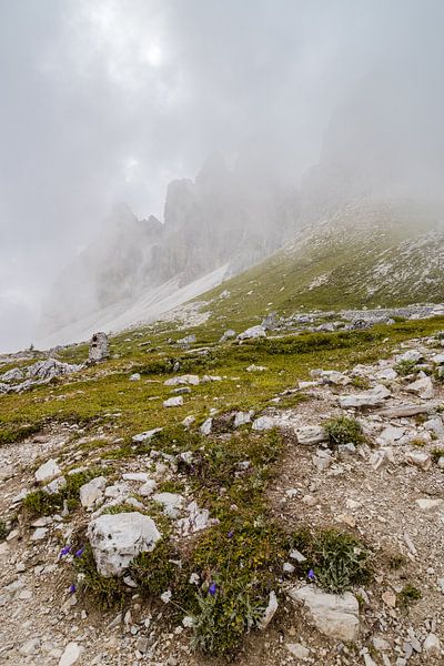 Dolomites by Severin Pomsel