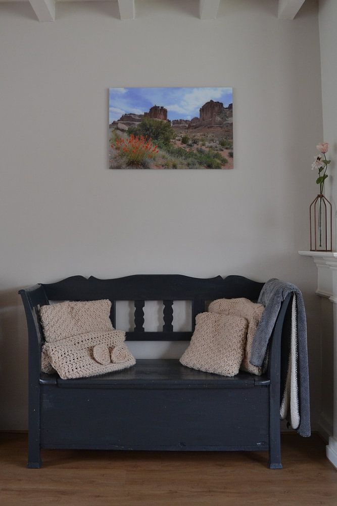 Utah, Arches National Park, VS  van Bernard van Zwol 