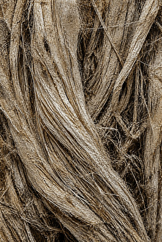 Abaca Fiber Texture - Indonesia