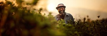 Curtis Mayfield auf dem Weedy Field - Eine Anspielung auf Pusherman von Surreal Media