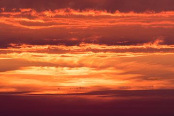 Fire in the sky by Marianne Twijnstra