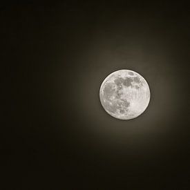 The moon at night by Anjo ten Kate