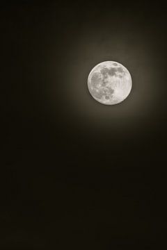 The moon at night