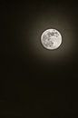 Der Mond bei Nacht von Anjo ten Kate Miniaturansicht