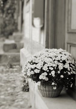 Bloeiende bloemen in een mand als decoratie voor de ingang van een huis