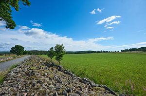 Steinmauer in schwedischer Landschaft