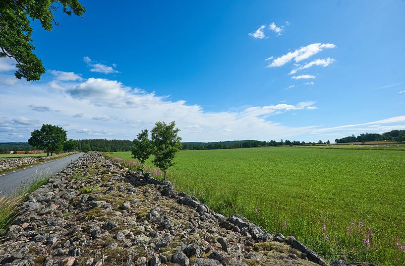 Stone wall in Swedish landscape by Geertjan Plooijer