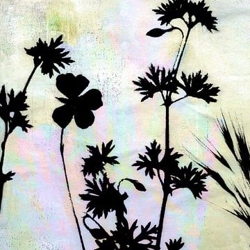 Bloemen - licht en schaduw van Claudia Gründler