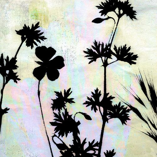 Bloemen - licht en schaduw
