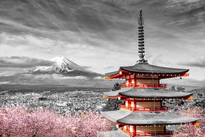 Vue grandiose du Mont Fuji avec la pagode Chureito pendant la floraison des cerisiers | colorkey