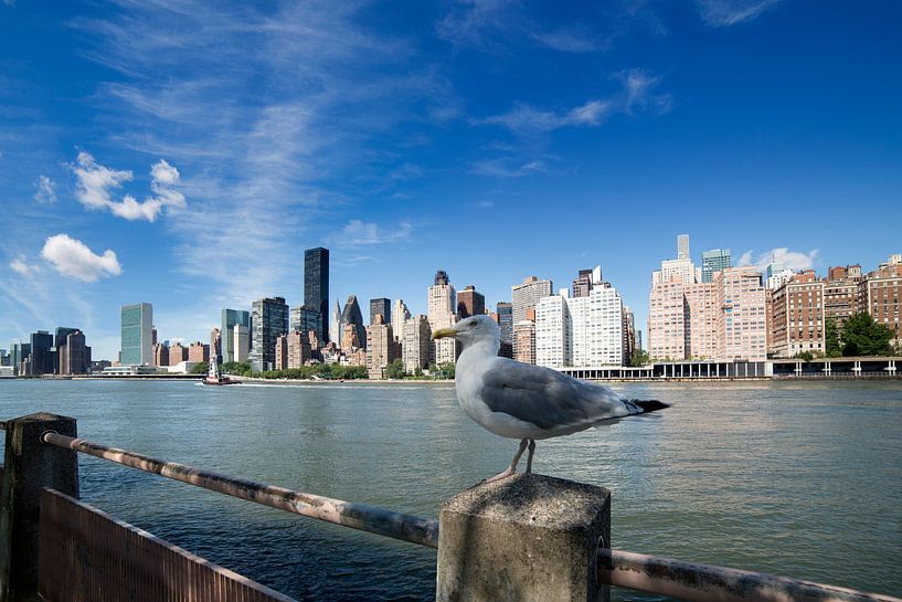 New York by Pat Desmet