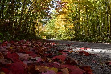 Eine Landstraße im Herbst von Claude Laprise